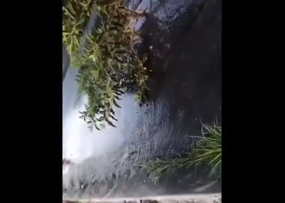 Ruptura de tuberías en Lourdes, Colón