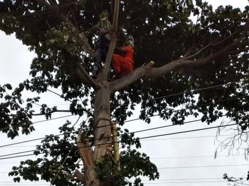 Sobrevive a descarga eléctrica