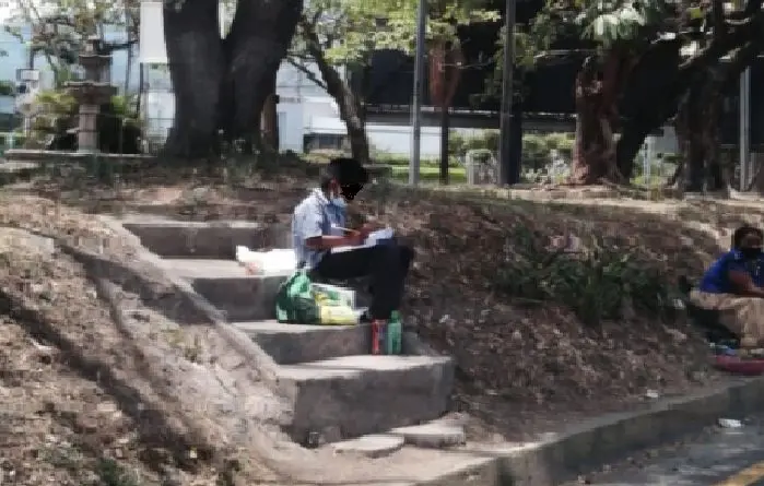 Niño estudiando en platillo merliot