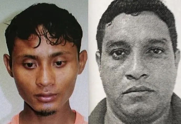 Violador 3