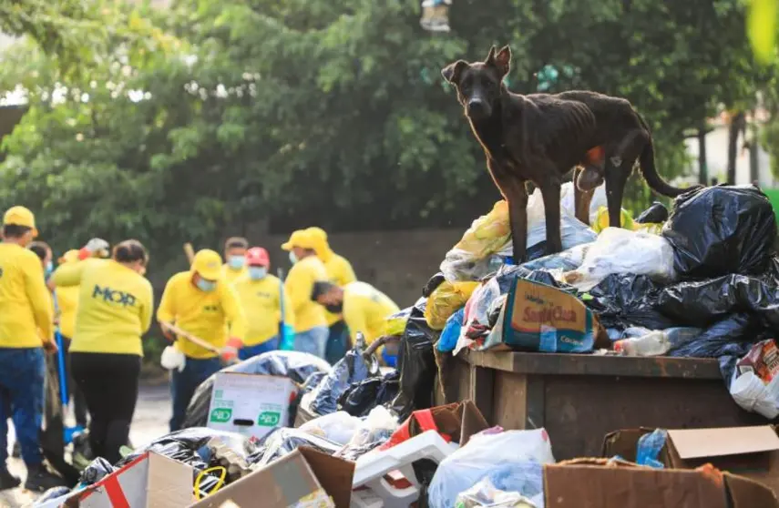 Chucho en la basura