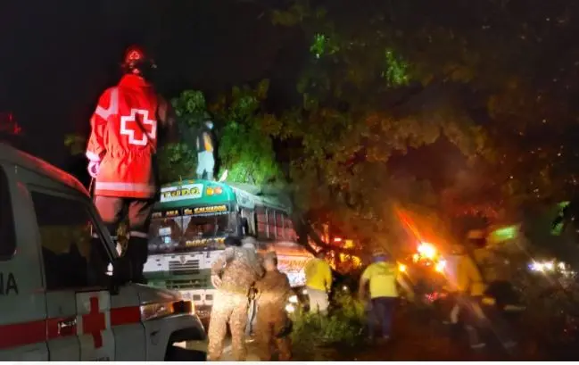 Árbol caído en bus