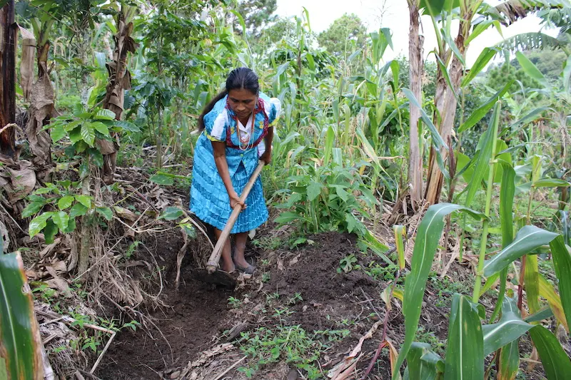 mujer agricultura