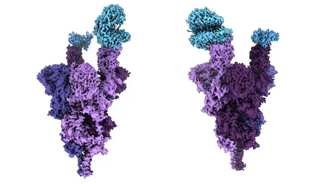 OMICRON ESPIGA MOLECULAR