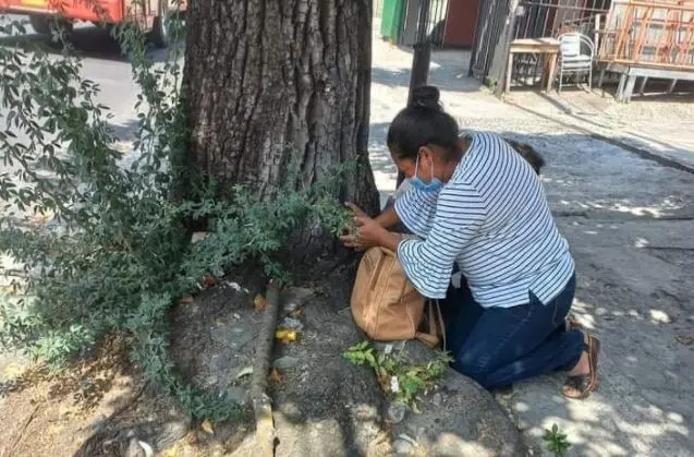 Mamá orando por su hijo