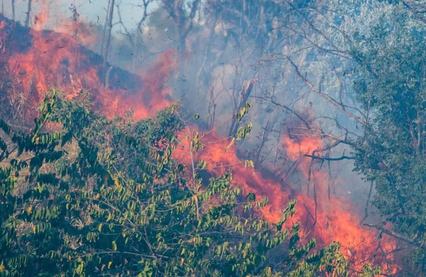 Alerta roja por incendio