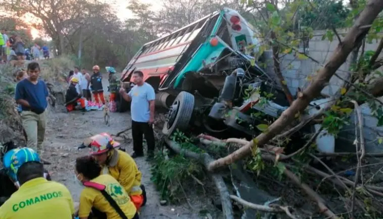 Bus se estrella contra árboles