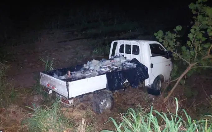 Abandonan pick up con 500 libras de pescado