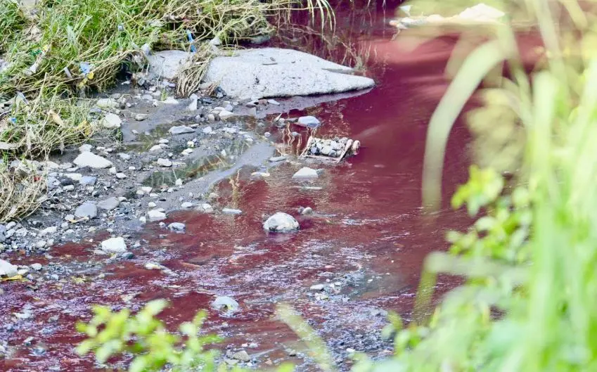 Contaminación