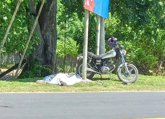 Muerta y lesionada