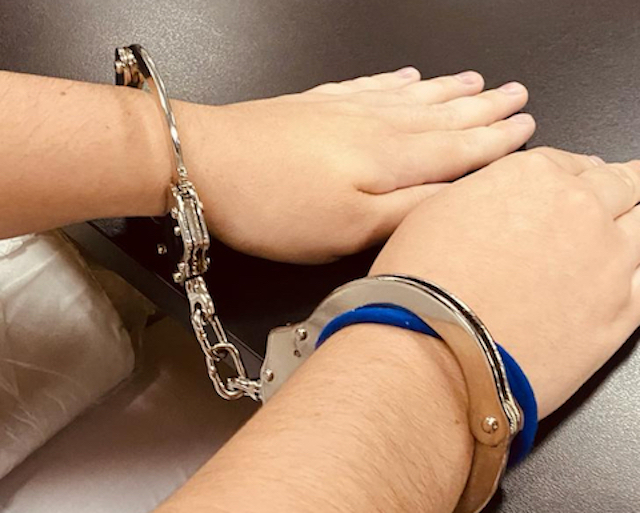 Empleada doméstica hurto joyas