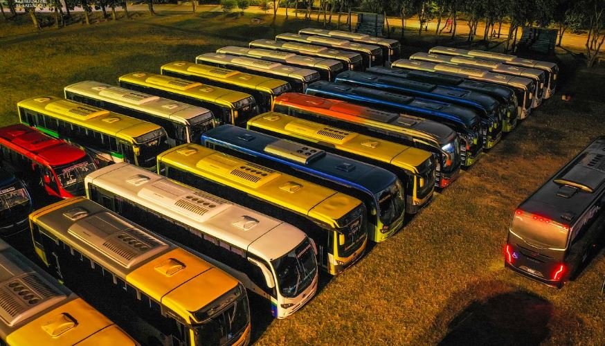 Nueva flota de buses