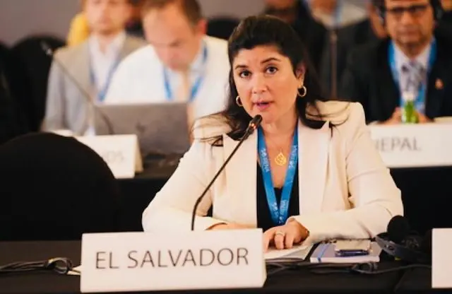 SESIÓN CONSEJO DE IRENA (5)