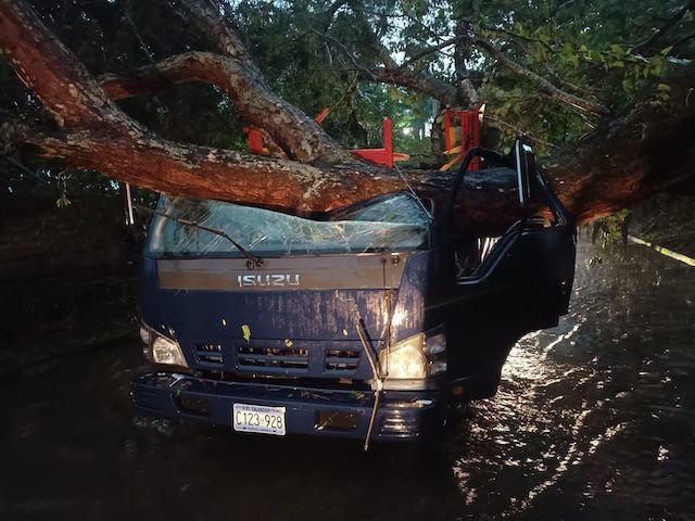 Árbol cae sobre camión con pasajeros en San Miguel