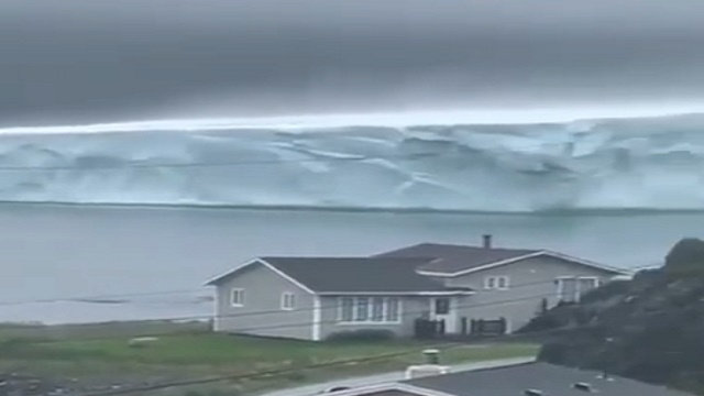 Iceberg Terranova