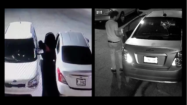 Leonel Cruz Renderos Ramírez y Franklin Arturo Castillo Ortiz hurto de vehículos