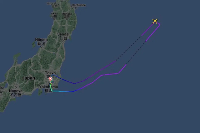 Pasajero muerde a azafata en avión Japón copia