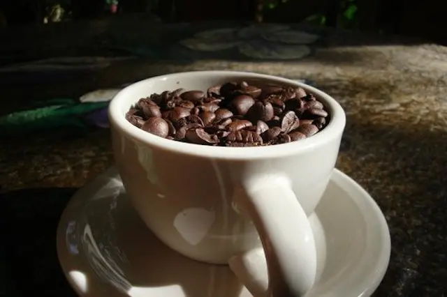 Café Pacamara Entre Nubes