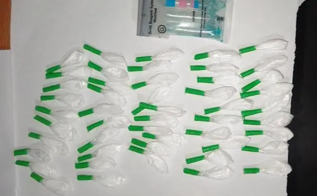 Kelvin Atilio Coreas López, tráfico ilícito de drogas, cocaína 2