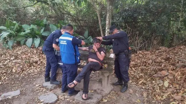 Santiago Alonso Gutiérrez conducción peligrosa chocó contra árbol botó panal de abejas y lo picaron