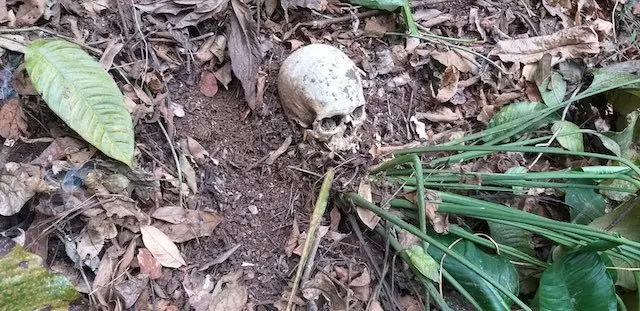 Osamentas encontradas en cantón Sihuapilapa, Teotepeque, La Libertad