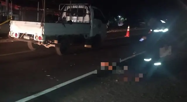Atropellado en carretera a San Luis La Herradura, desvío Las Isletas, La Paz 25-04-2024