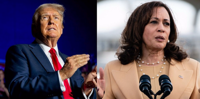 Trump Harris