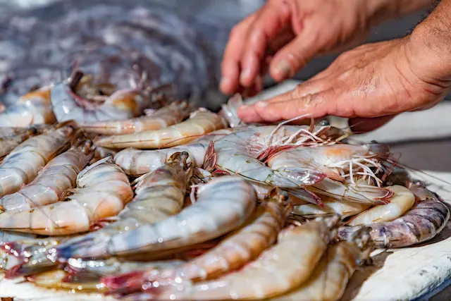 Camarones 3