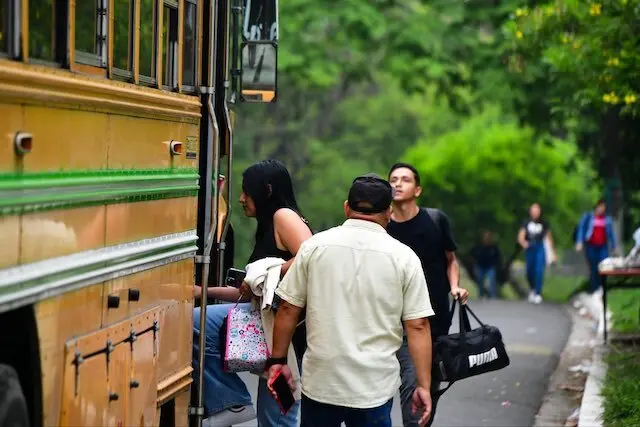 Buses