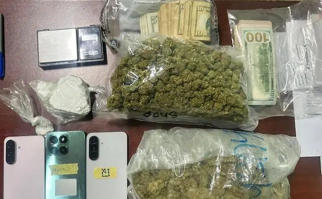 Élmer Bladimir Martínez y Olga Ayala Molina, tráfico ilícito de drogas y conducción peligrosa 2