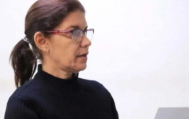 Elena Isabel Flores Comandari, evasión de impuestos