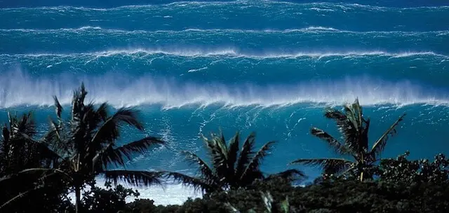 Olas Hawaii