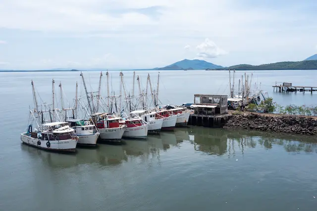 Barcos pesqueros 3