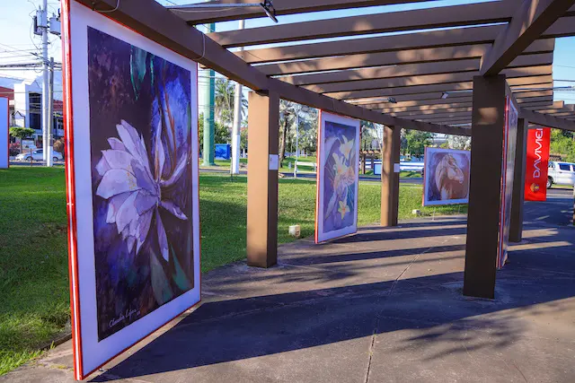 DAVIVIENDA INSPIRACIONES DEL ALMA 2025