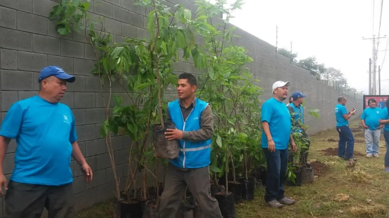 Reforestar&aacute;n la avenida Jerusal&eacute;n.