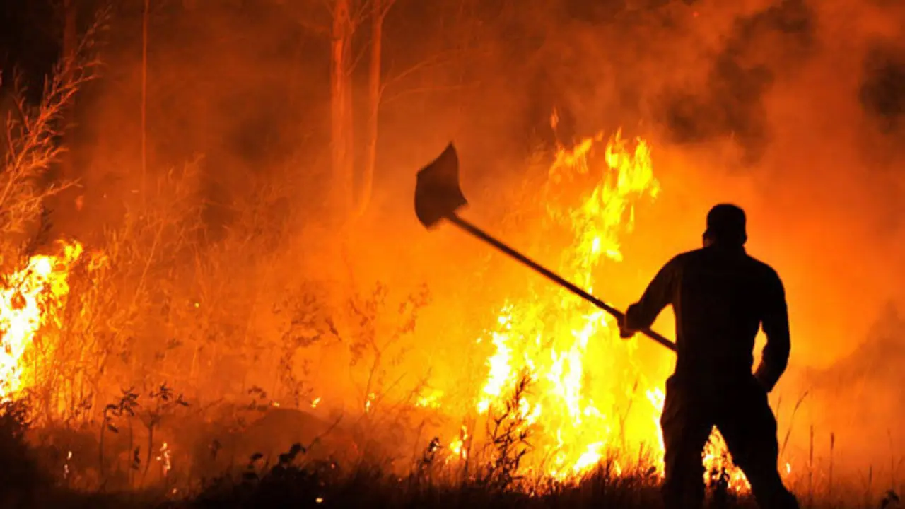 Incendio Forestal en Los &Aacute;ngeles
