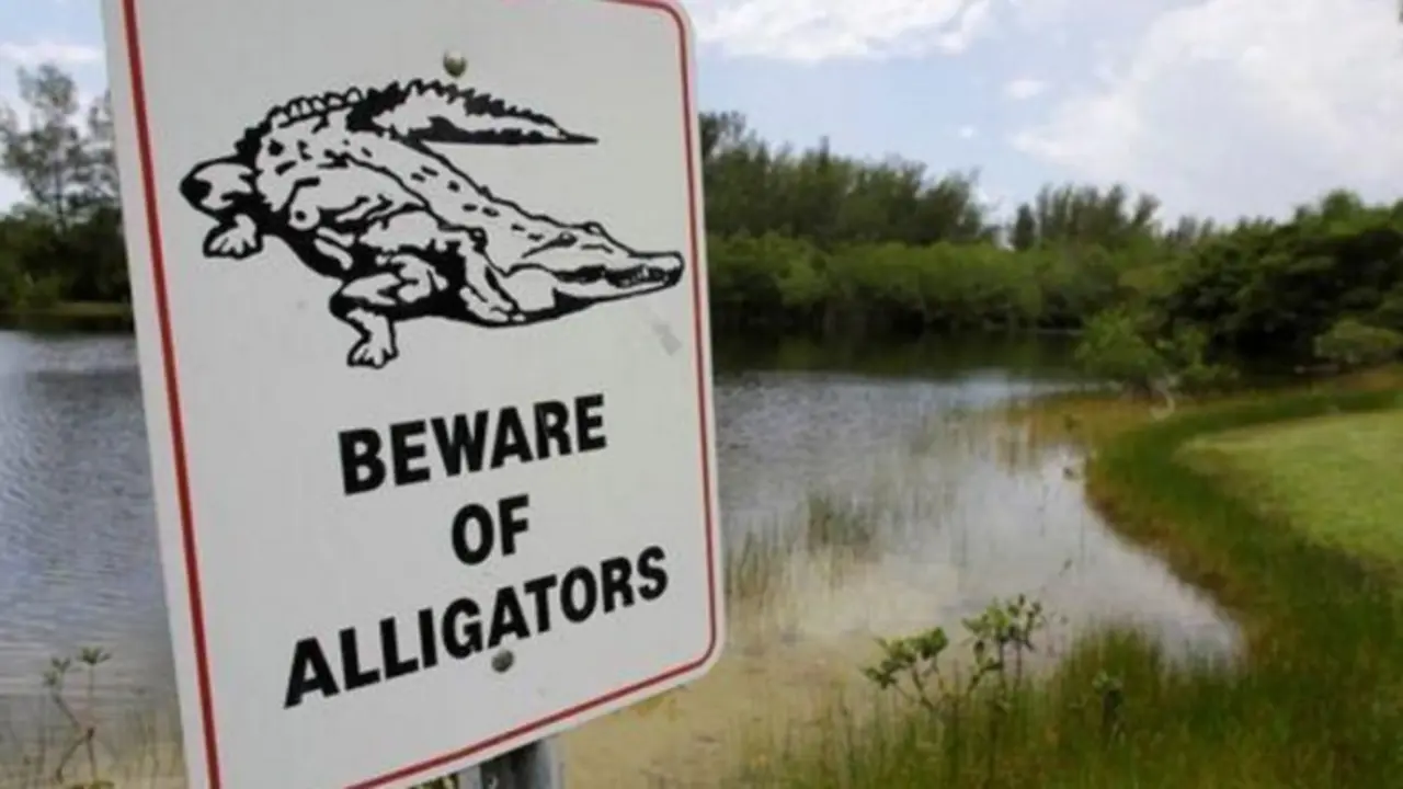 R&oacute;tulos que instala Disney en sus playas y lagos.