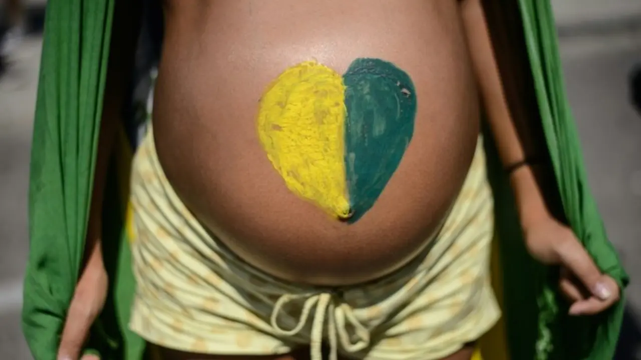 <p>Una mujer embarazada participa en una manifestaci&oacute;n pol&iacute;tica en Rio de Janeiro el 12 de abril de 2015</p>