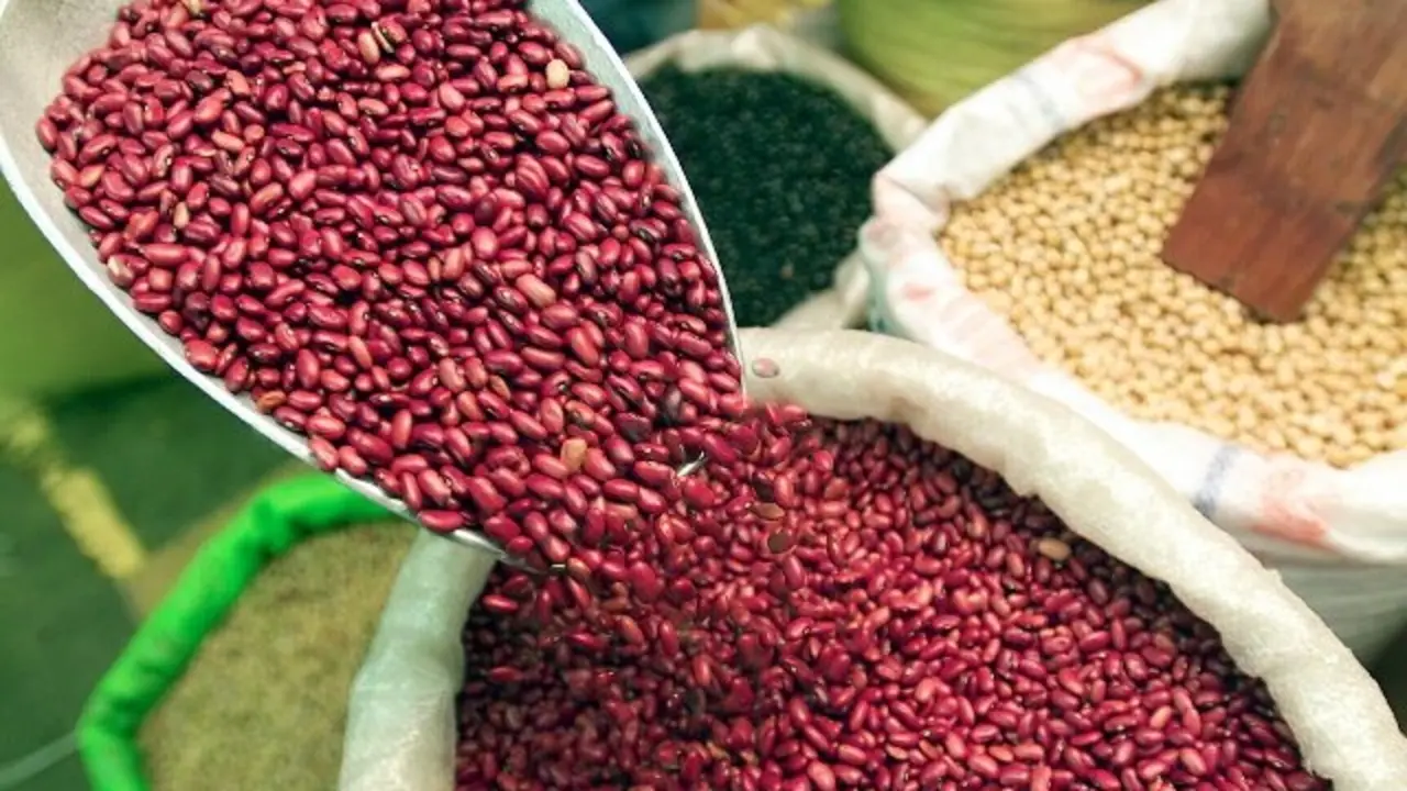 canasta b&aacute;sica