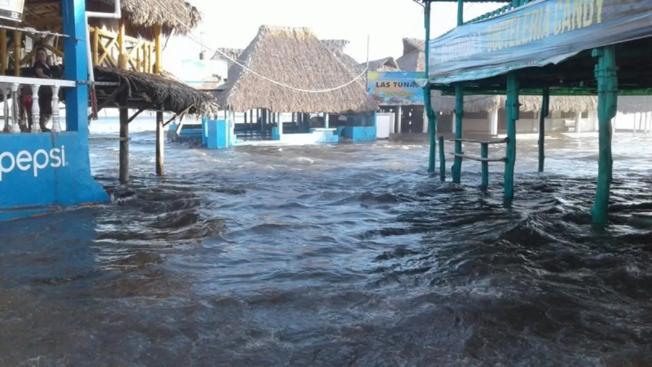 Playa Las Tunas, La &Uacute;ni&oacute;n. Foto: MARN
