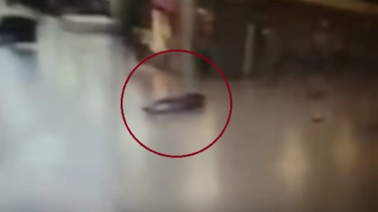 Atacante de Estambul