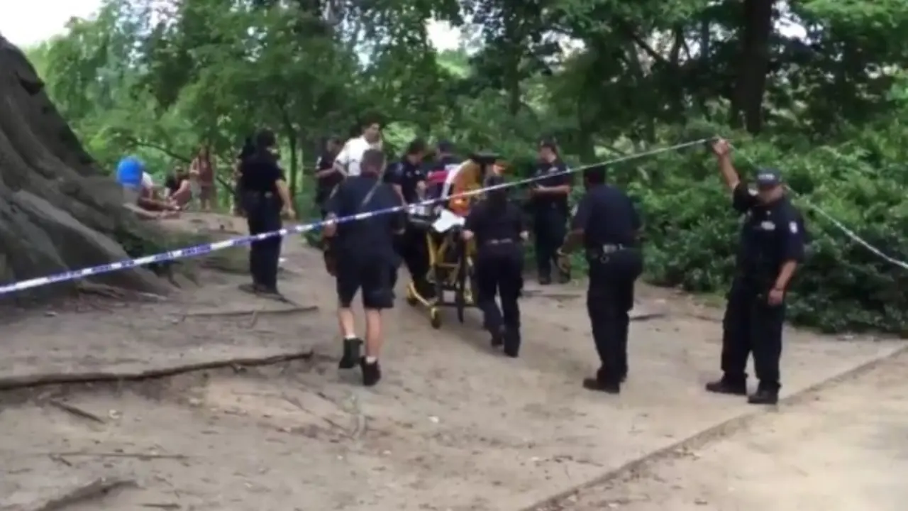 Explosi&oacute;n en Central Park