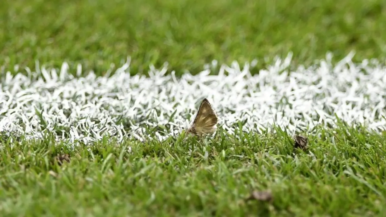 <p>Una polilla antes del comienzo de la final de la Eurocopa entre Francia y Portugal, el 10 de julio de 2016, en el Stade de France, en Saint-Denis (Francia)</p>
