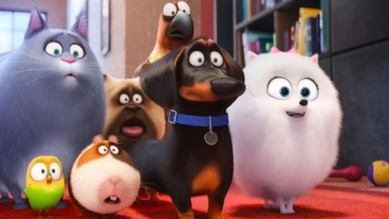 La vida secreta de tus mascotas