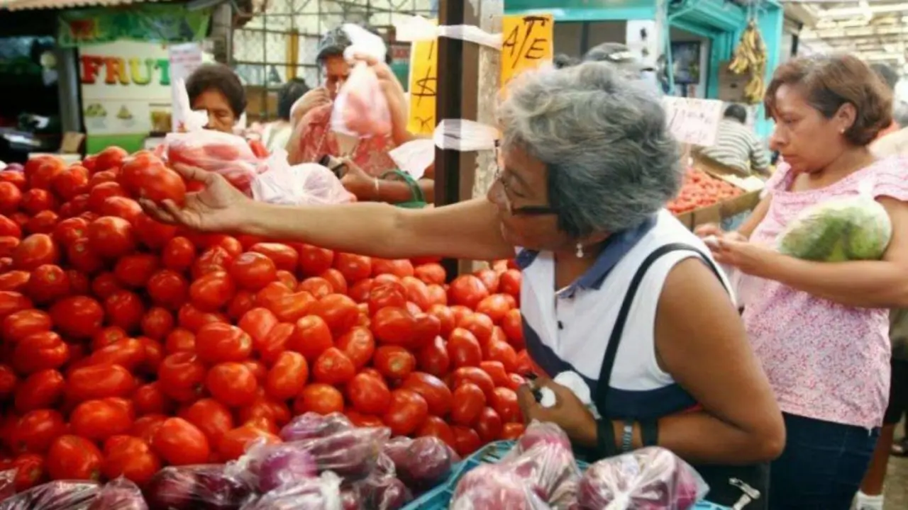 canasta b&aacute;sica