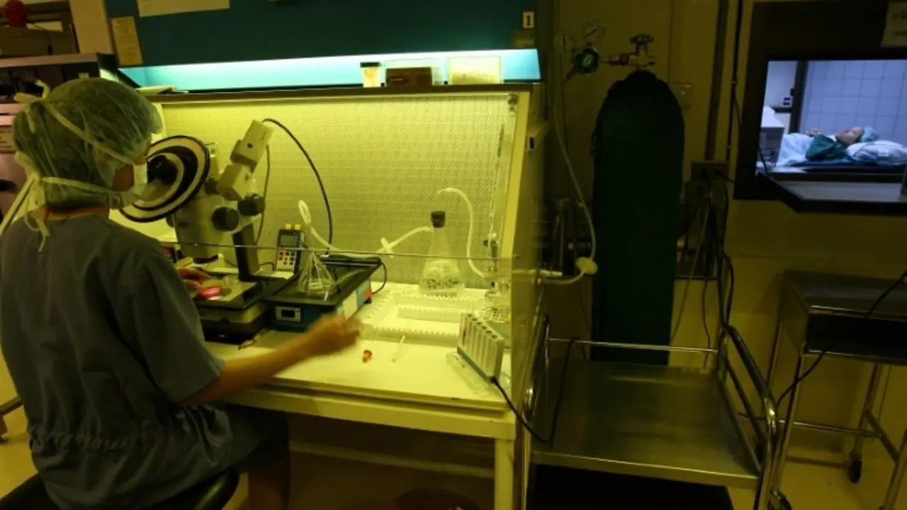 <p>Un experto tailand&eacute;s lleva adelante una fertilizaci&oacute;n in vitro en el Instituto Jetanin de Bangkok el 4 de Agosto de 2006</p>
