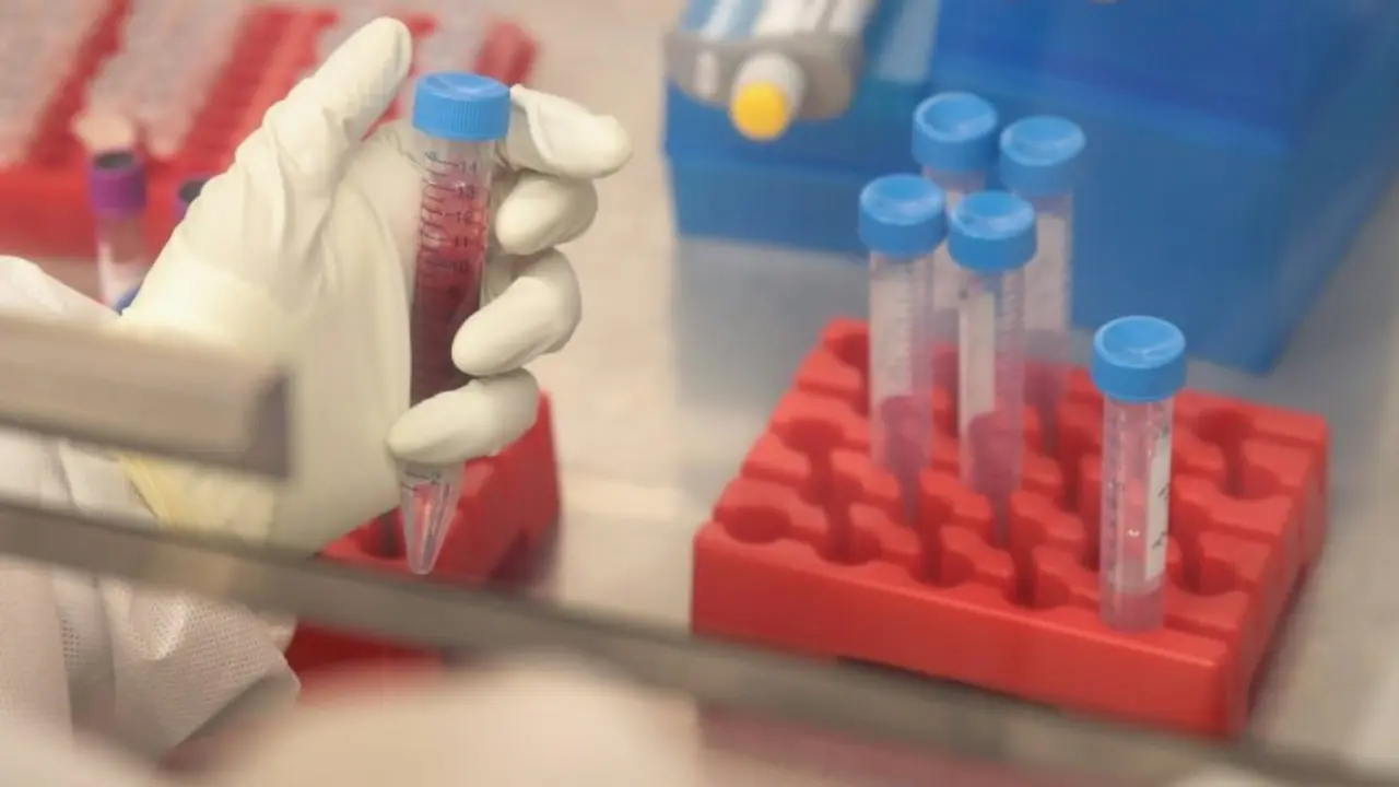 <p>Estudios sobre el zika en un laboratorio de la Universidad de Wisconsin, en Madison, Estados Unidos, el 28 de junio de 2016</p>