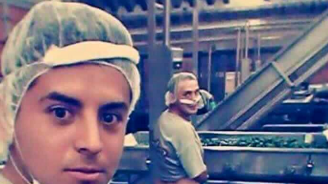 chile jalape&ntilde;o - copia