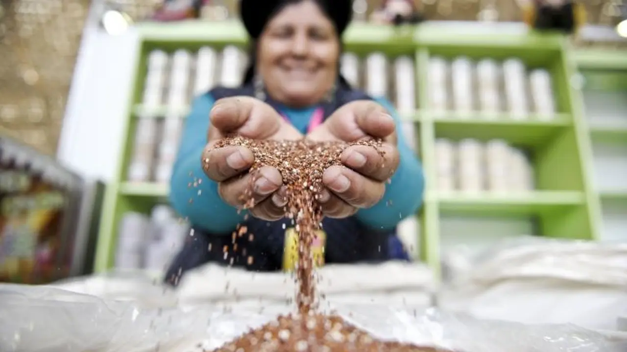 <p>Una mujer muestra granos de quinua durante la inauguraci&oacute;n de la feria gastron&oacute;mica "Mistura" en Lima, el 6 de septiembre de 2012</p>
