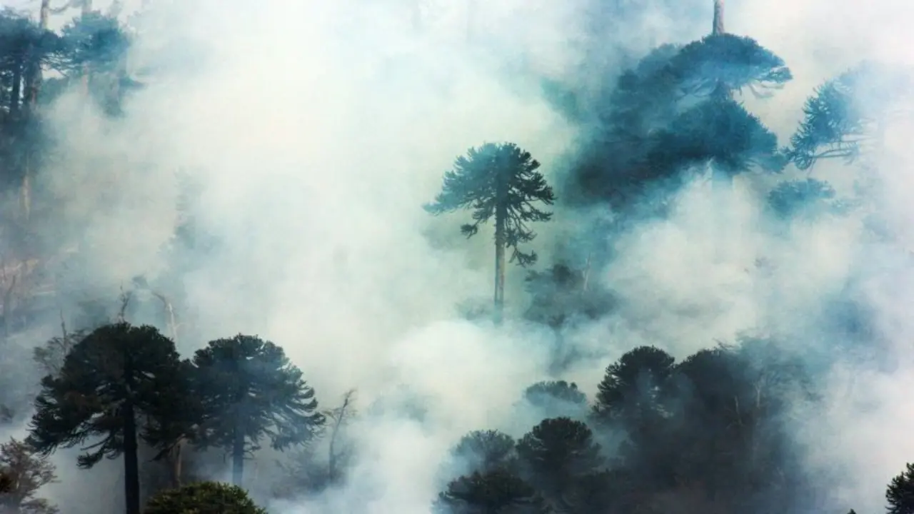 <p>Incendio en el Parque Nacional Conguillo, en Temuco, sur de Chile, el 24 de marzo de 2015</p>